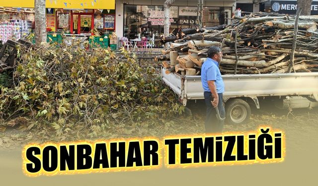 Büyükşehir'den Sonbahar Temizliği
