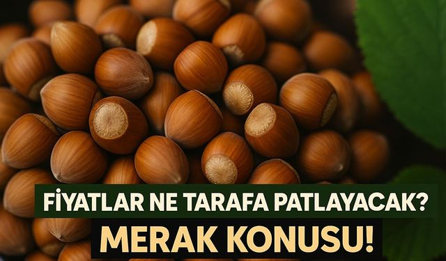 Fındık Fiyatlarında Kritik Seviye: Fiyatlar Ne Tarafa Patlayacak?