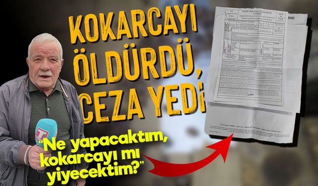 Trabzon'da Böyle Ceza Görülmedi: Hayvansever Müfettiş Kokarca İçin Ceza Yazdı!