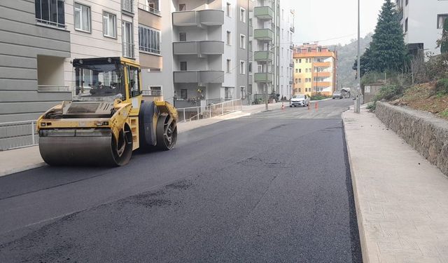 İLÇE MAHALLE YOLLARI BİRİNCİ KISIM DOĞU CADDE VE SOKAK DÜZENLEME