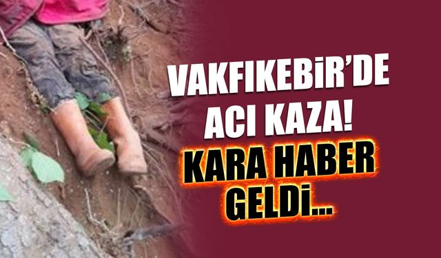 Vakfıkebir Yaylasında Ağaç Kazası: İşçi Hayatını Kaybetti