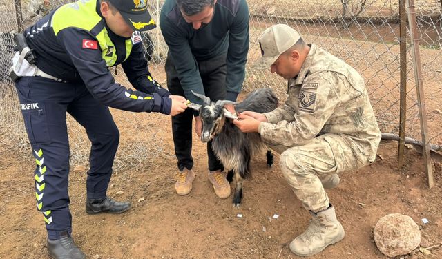 Siirt Jandarmasından Türkiye’ye Örnek Uygulama! Trafik Kazalarını Önleyecek Yeni Sistem Devrede