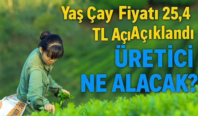 Çay Üreticisi 2025’te Ne Alacak? Yaş Çay Fiyatı 25,44 TL Açıklandı