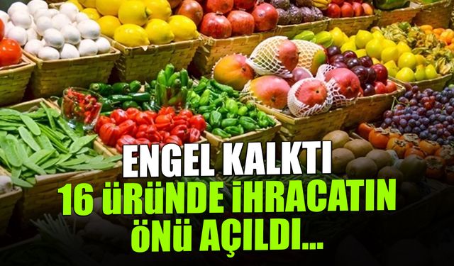 Engel Kalktı, 16 Üründe İhracatın Önü Açıldı...
