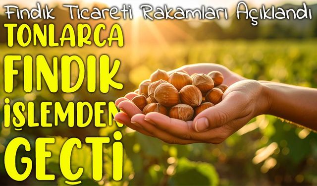 Ticaret Borsalarında 2025 Fındık Sezonunda İlk Üç Ayda Kaç Ton Satıldı?