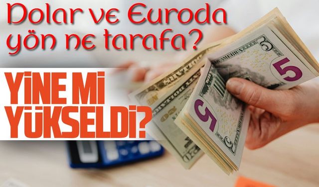 Bugün Dolar Ve Euro Kaç TL? Döviz Kurları Neden Yükseliyor?