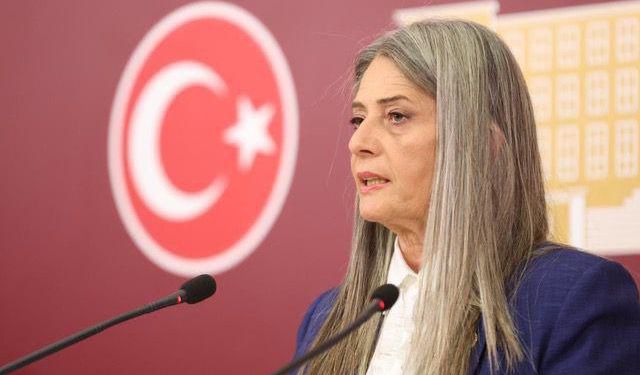 Suiçmez: “AKP iktidarı insan hakları sınavında sınıfta kalmıştır”