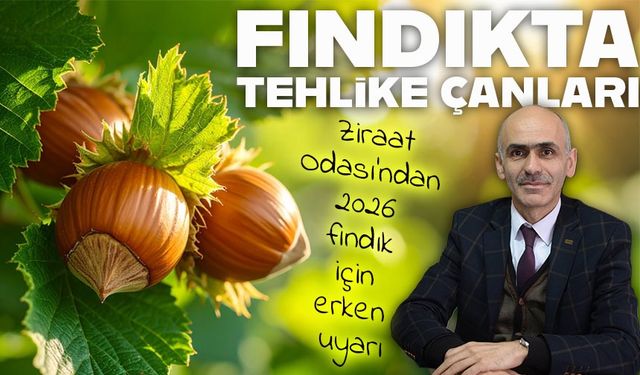 Giresun Ziraat Odası’ndan 2026 fındık mahsulü için erken uyarı: Rekolte düşebilir