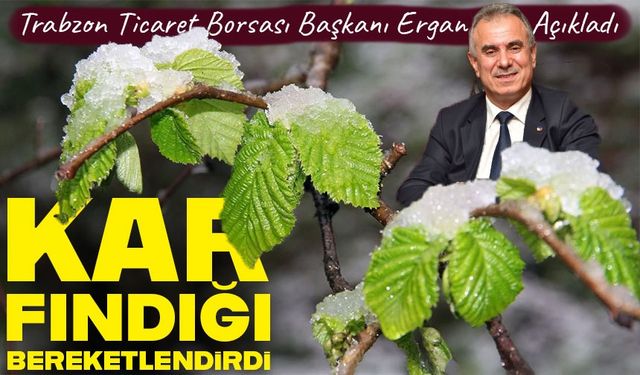 Trabzon Ticaret Borsası Başkanı Ergan: Kar yağışı fındığa olumlu yansıdı