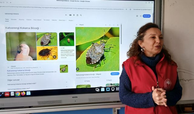 19 Mayıs ilçesinde 'Okul Tarım El Ele' etkinliği yapıldı