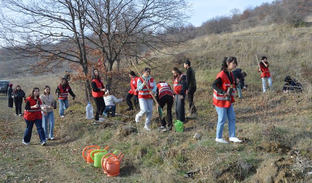 Genç Kızılay gönüllüleri Havza'da fidan dikti