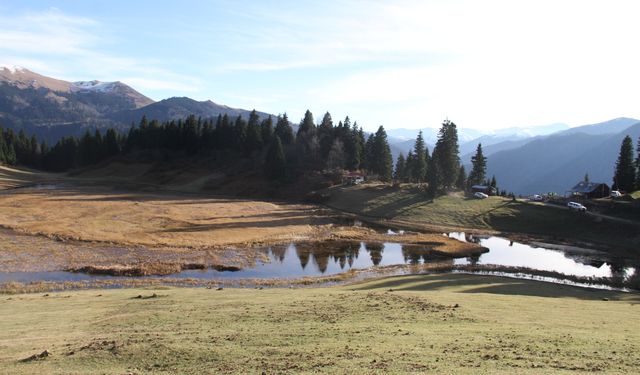 Gölyanı Yaylası ziyaretçilerini doğal güzellikleriyle karşılıyor