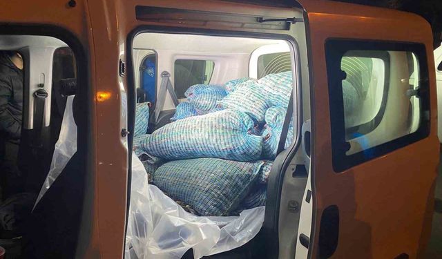 300 kilo kaçak midye ele geçirildi