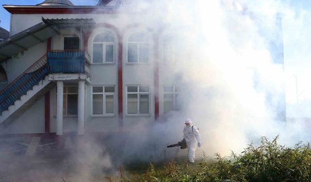 Kahverengi kokarca kışlak mücadelesi sürüyor