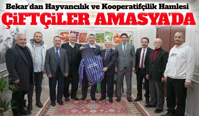 Trabzonlu Çiftçilerden Amasya Çıkarması: Kooperatifçilik ve Hayvancılıkta Yeni Vizyon