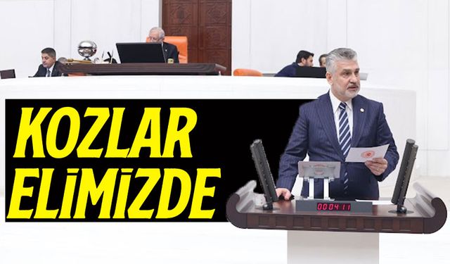 AK Parti Trabzon Milletvekili Büyükaydın: Nükleer Enerji Türkiye’nin Enerji Güvenliği İçin Stratejik Öneme Sahip