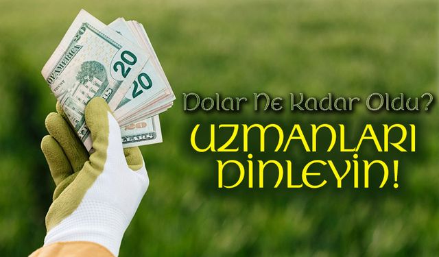 Bugün Dolar Ne Kadar Oldu? Uzmanlar Herkesi Uyardı!