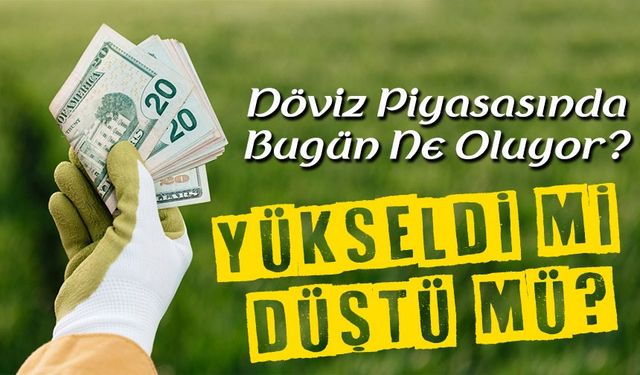 Döviz Piyasasında Bugün Ne Oluyor? Dolar Euro Fiyatları