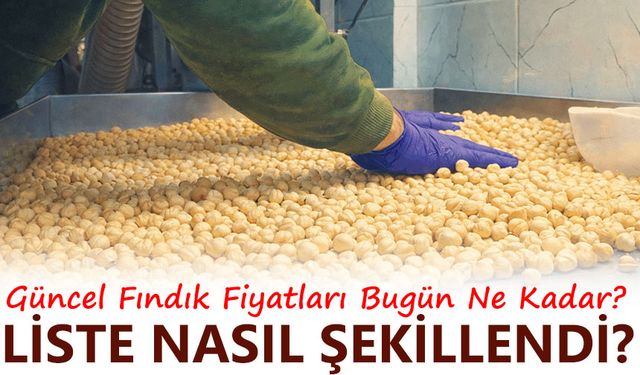 Güncel Fındık Fiyatları Bugün Ne Kadar? Fındık Fiyatlarında Son Durum...