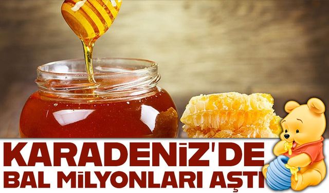 11 ayda 452 ton bal ihraç edildi: Doğu Karadeniz’den 6 ülkeye dış satım