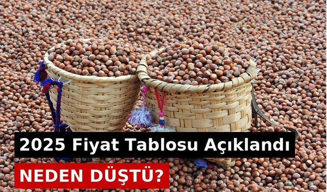 Fındık Fiyatları Bugün Ne Kadar Oldu 2025 Fiyat Tablosu Açıklandı