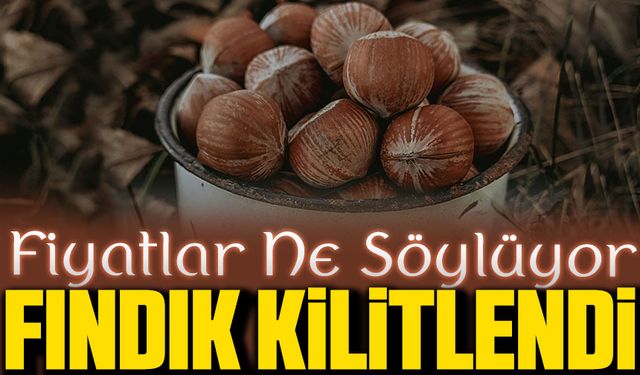 Serbest Piyasada Fındık Bugün Kilitlenmiş Durumda Fiyatlar Ne Söylüyor