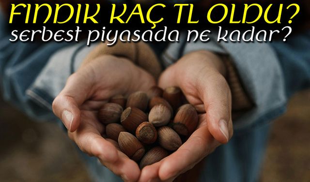 Fındık Piyasasında Son Durum: Fiyatlar Neden Yükselmiyor?