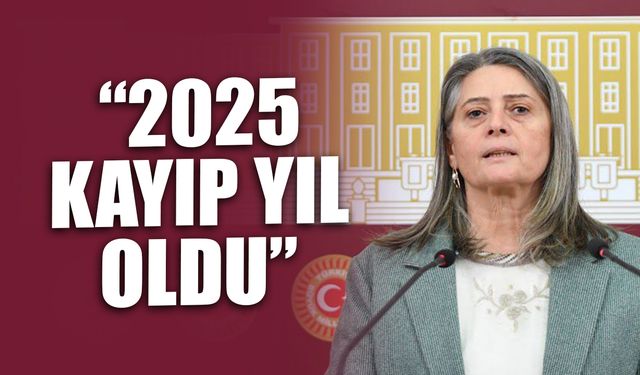 CHP’li Suiçmez: “2025, Demokrasi ve Hukuk Devleti Açısından Kayıp Bir Yıl Oldu”