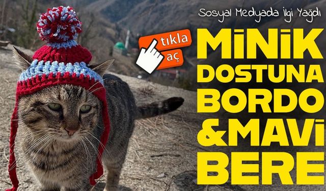 Trabzonlu Neşe’den Kedisine Bordo-Mavi Bere! Sosyal Medyada İlgi Yağdı