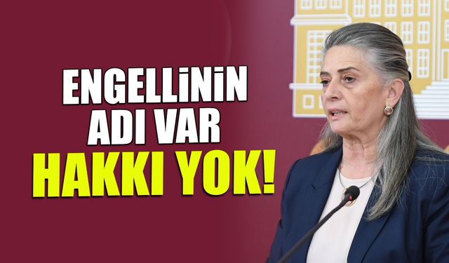 CHP Trabzon Milletvekili Av. Sibel Suiçmez: “Engellinin adı var ancak hakkı ve umudu yok”