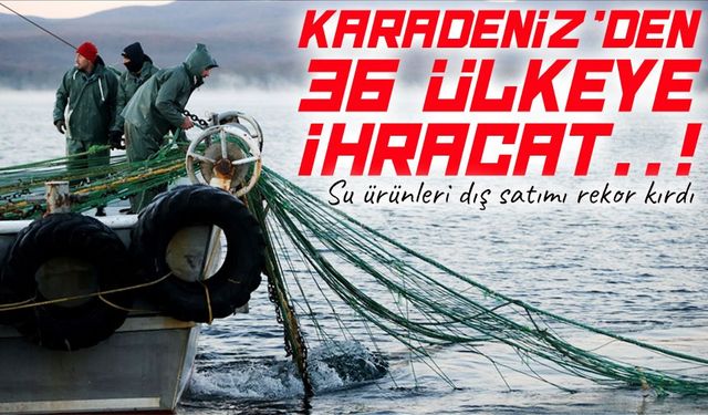 Karadeniz’den 36 ülkeye ihracat: Su ürünleri dış satımı rekor kırdı