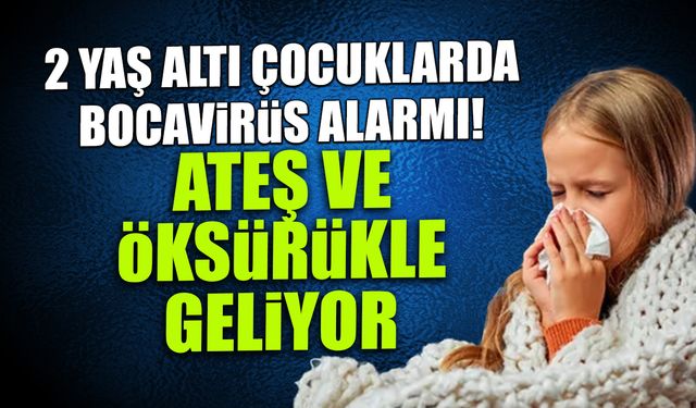 2 Yaş Altı Çocuklarda Bocavirüs Alarmı! Ateş ve Öksürükle Geliyor...