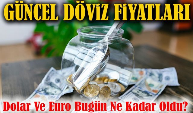 Dolar Ve Euro Bugün Ne Kadar Oldu? Güncel Döviz Fiyatları