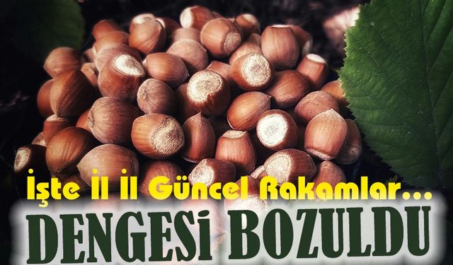 Güncel Fındık Fiyatları Ne Kadar? İşte İl İl Güncel Rakamlar…