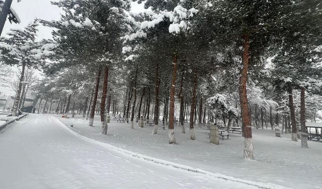 Kavak'ta kar yağışı etkili oldu