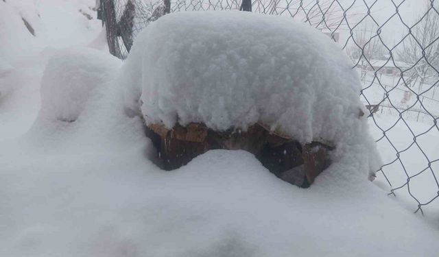 Batman'da son 20 yılın en sert kışında ekiplerin çalışmaları sürüyor