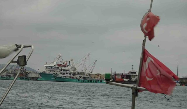 Türkiye'yi terk eden hamsinin yolu gözleniyor