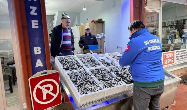 Giresun’da balık tezgâhlarına sıkı denetim: Eynesil ve Görele mercek altında