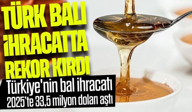 Türkiye'nin bal ihracatı 2025’te 33,5 milyon doları aştı