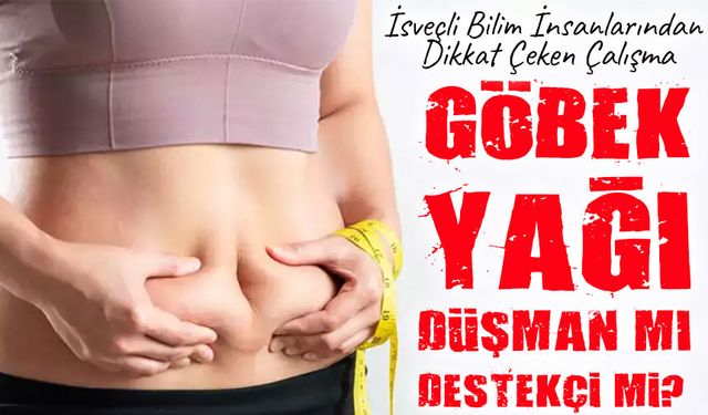 İsveçli Bilim İnsanlarından Dikkat Çeken Çalışma: Karın Yağları Bağışıklığa Katkı Sunabilir