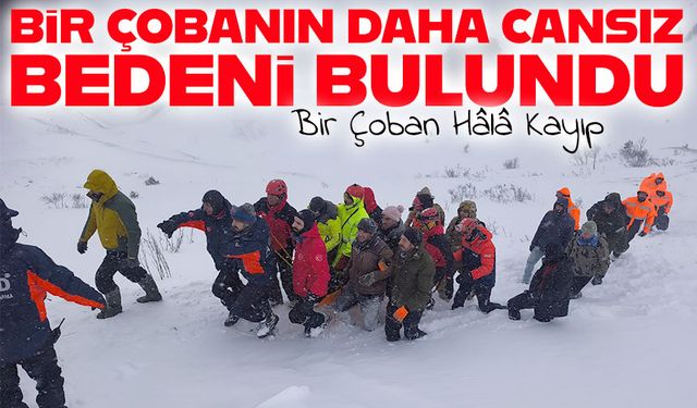 Artvin’de Çığda Can Kaybı İki Oldu: Bir Çoban Hâlâ Kayıp