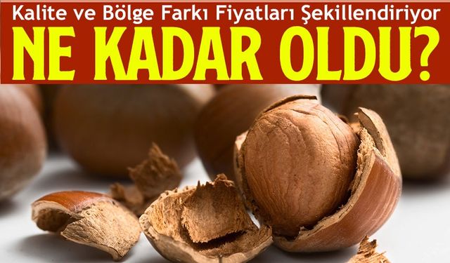 Trabzon’da Serbest Piyasada Fındık Kaç TL? İşte İl İl Güncel Fındık Fiyatları