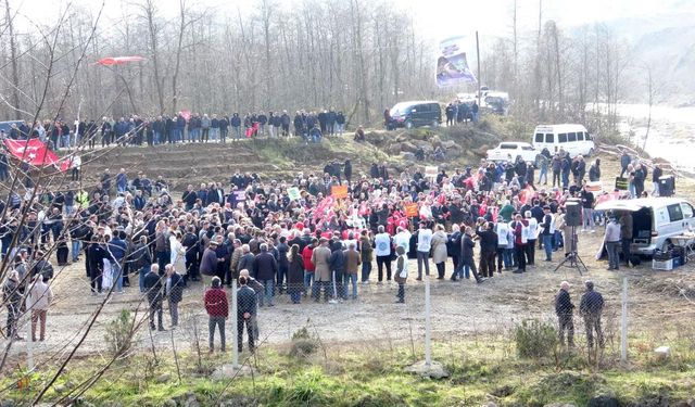 Gelevera Deresi Kıyısında Çöp Tesisi İsyanı, Tirebolu Ayakta