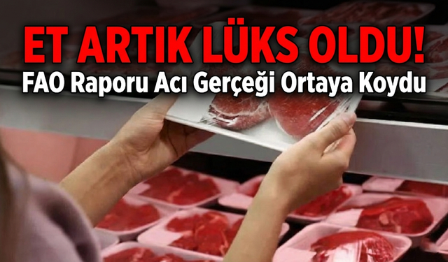 FAO Raporu Acı Gerçeği Ortaya Koydu: Türkiye Üretiyor, Halk Eti Uzaktan İzliyor