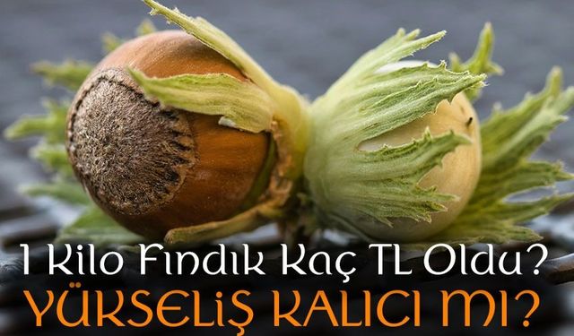 Serbest Piyasada Fındık Kaç TL? İşte Bugünün Rakamları ve Uzman Yorumları