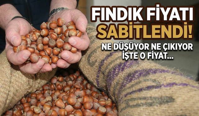 Fındık Fiyatları Bu Seviyeye Demir Attı: Üretici Beklentisinin Altında Kaldı