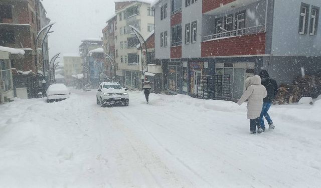 Giresun'da kara saplanan otomobilin üzerine çığ düştü
