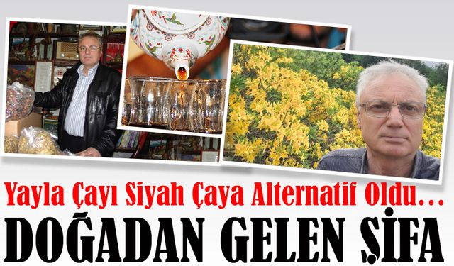 Kış Aylarının Doğal Şifası: Yayla Çayı