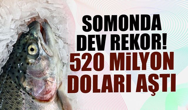 Türk Somonu İhracatı 2025’te 520 Milyon Doları Aştı