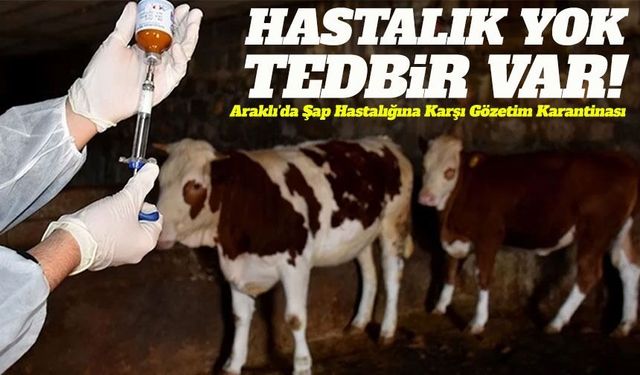 Araklı’da Hastalık Yok Ama Tedbir Var: Şap Riskine Karşı Önleyici Adım